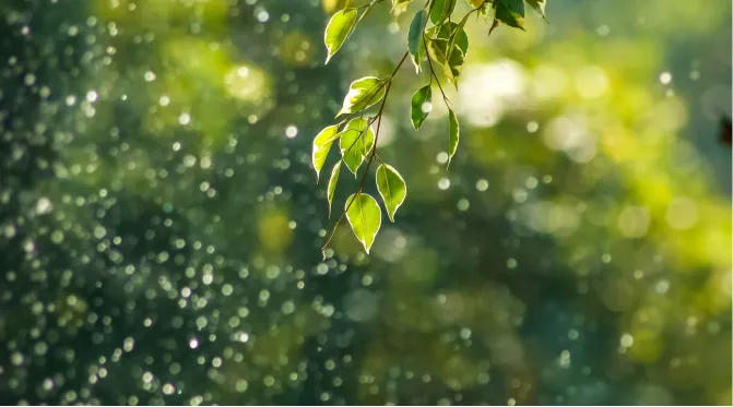 株式会社アシスト