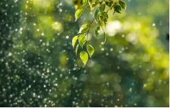 株式会社アシスト